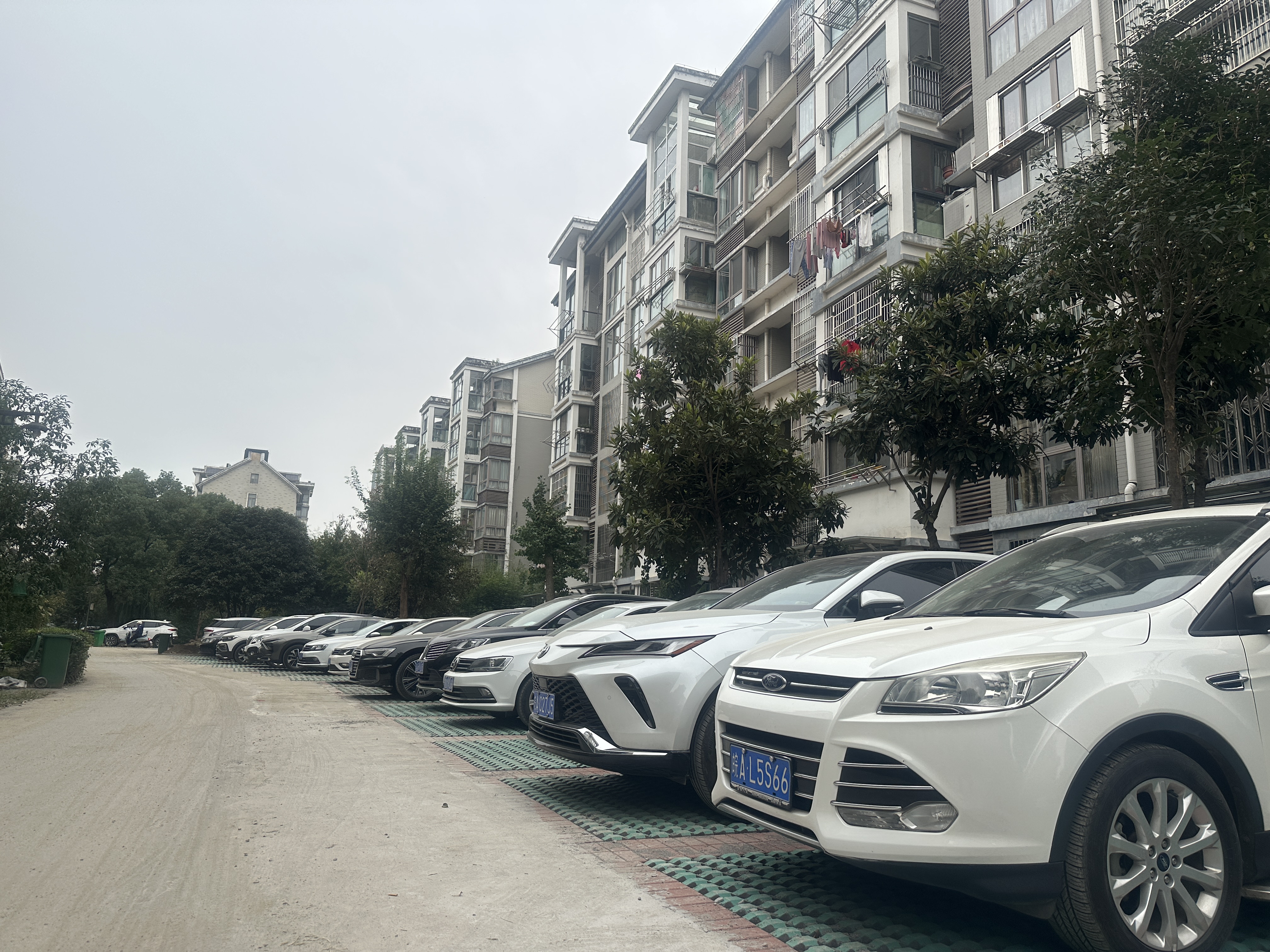 mmexport1699324263920.jpg