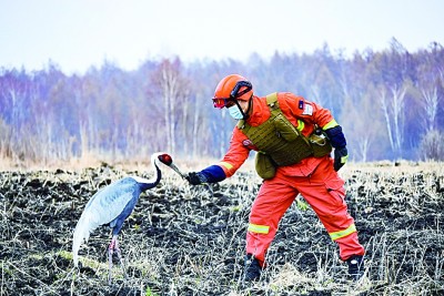 立法治根基 護(hù)濕地之美——聚焦?jié)竦乇Ｗo(hù)法正式實(shí)施