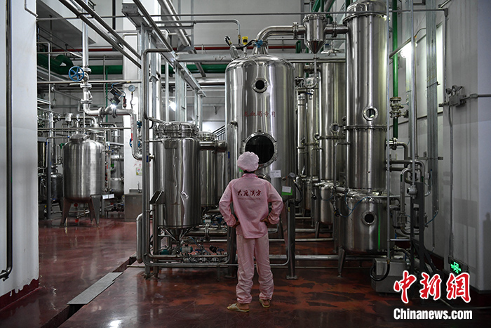 圖為6月29日，普洱市一家生物醫藥企業的生產車間。  <a  href='/'>中新社</a >記者 劉冉陽 攝