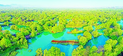 探索濕地保護與城市發展雙贏之路