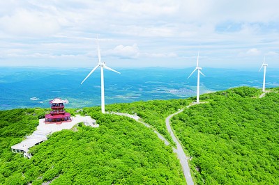 打造“四庫” 統(tǒng)籌林業(yè)高質(zhì)量發(fā)展