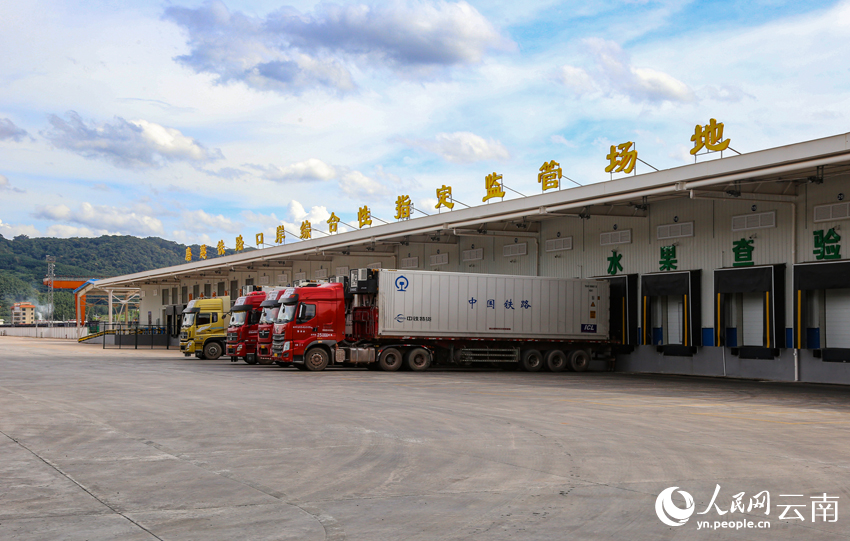 磨憨鐵路口岸綜合性指定監管場地水果查驗區。人民網記者 符皓攝