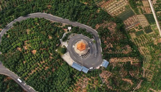 廣東茂名高州市根子鎮打造的荔枝林景觀