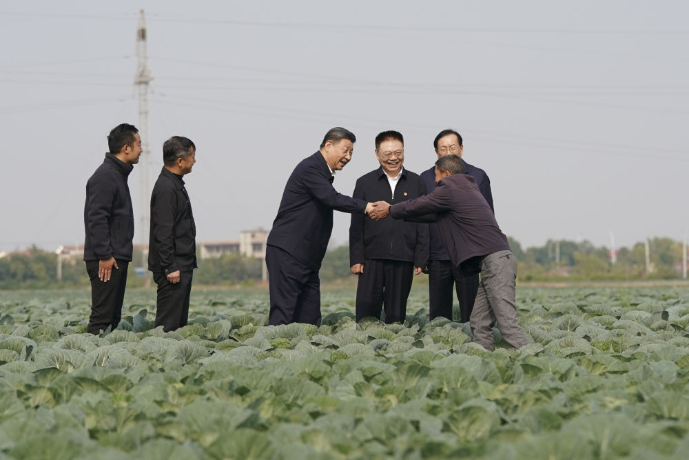 2024年11月5日，習(xí)近平在咸寧市嘉魚縣潘家灣鎮(zhèn)十里蔬菜長廊考察時，同菜農(nóng)親切交流。