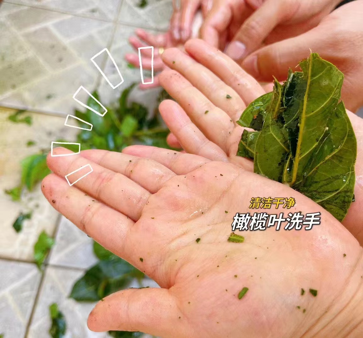 微信圖片_20241022173700.jpg
